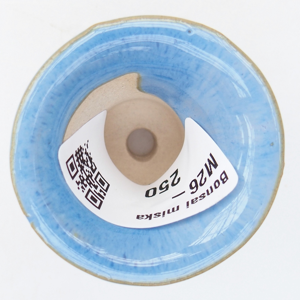 Cuenco mini bonsái 4,5 x 4,5 x 3,5 cm, color azul