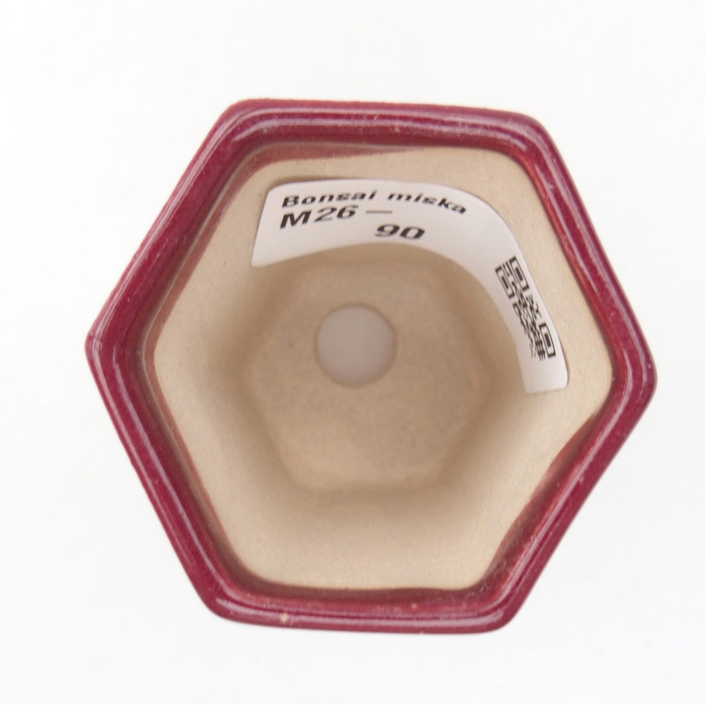 Mini cuenco bonsái 5 x 4,5 x 6,5 cm, burdeos