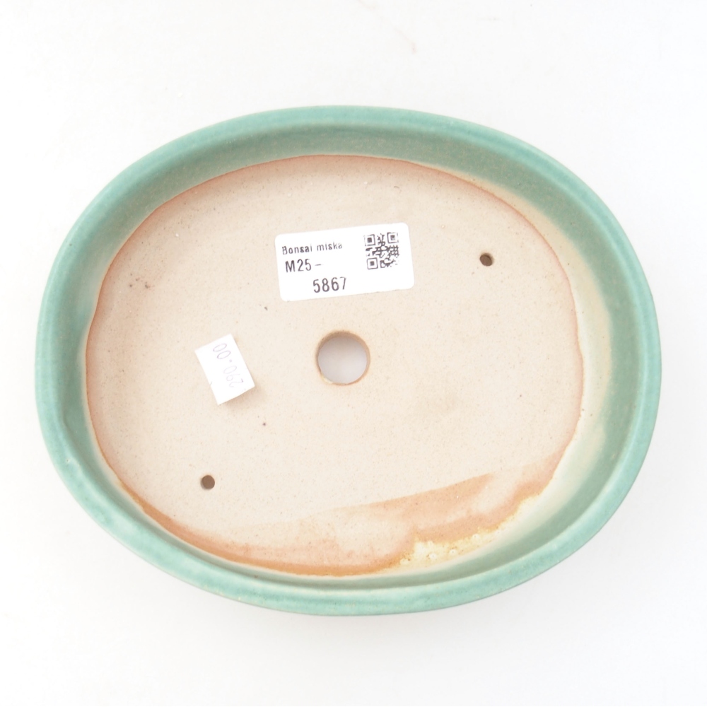 Cuenco bonsái de cerámica 22 x 17 x 5 cm, verde