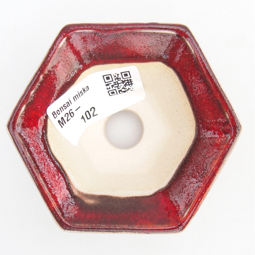 Mini cuenco bonsái 8 x 7 x 3 cm, color rojo