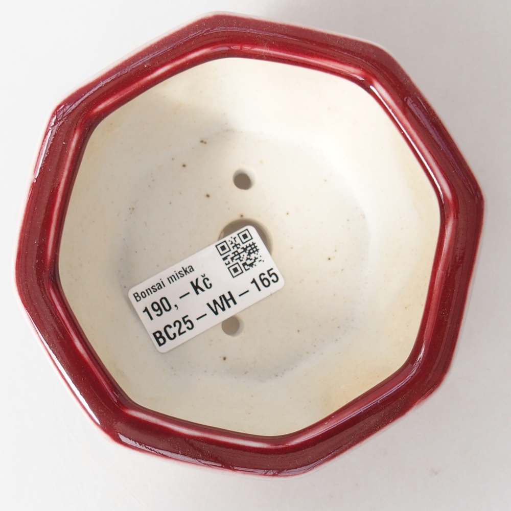 Cuenco bonsái de cerámica 11,5 x 11 x 5 cm, color rojo