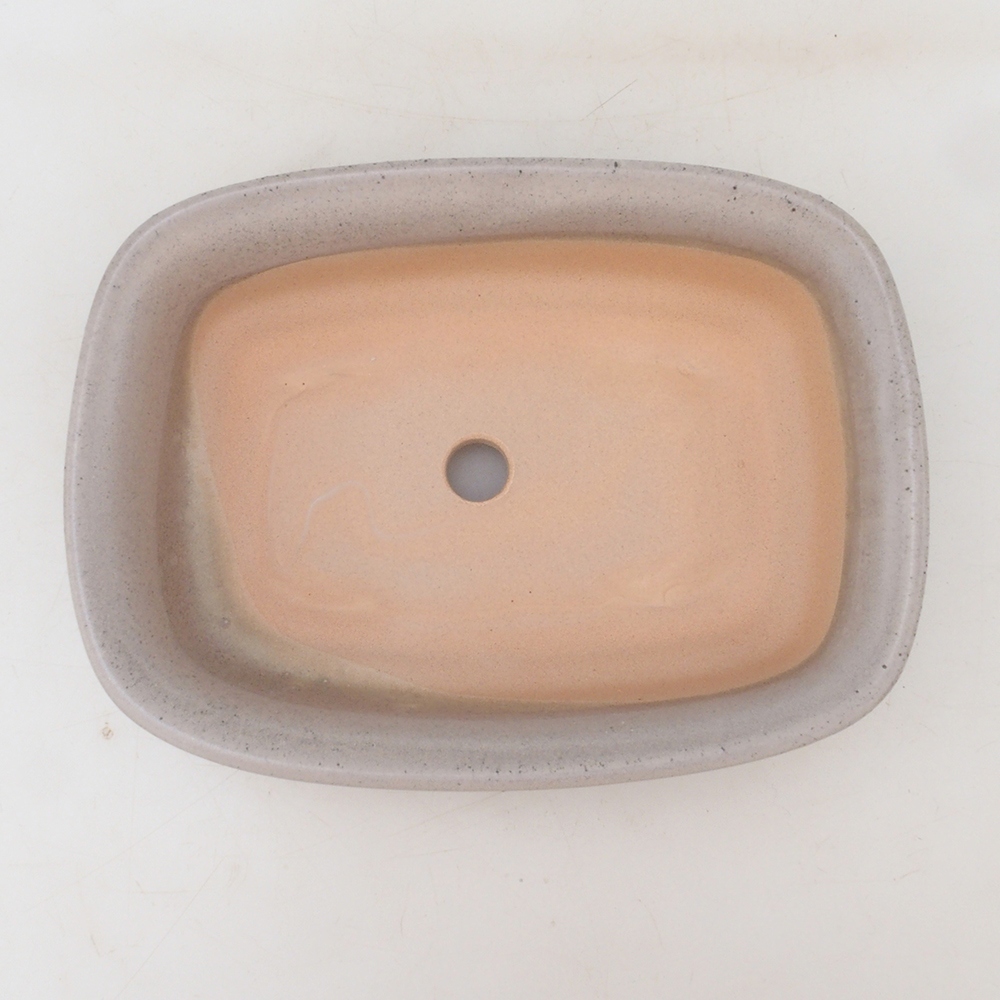 Cuenco bonsái H02 - 19 x 13 x 5 cm - beige