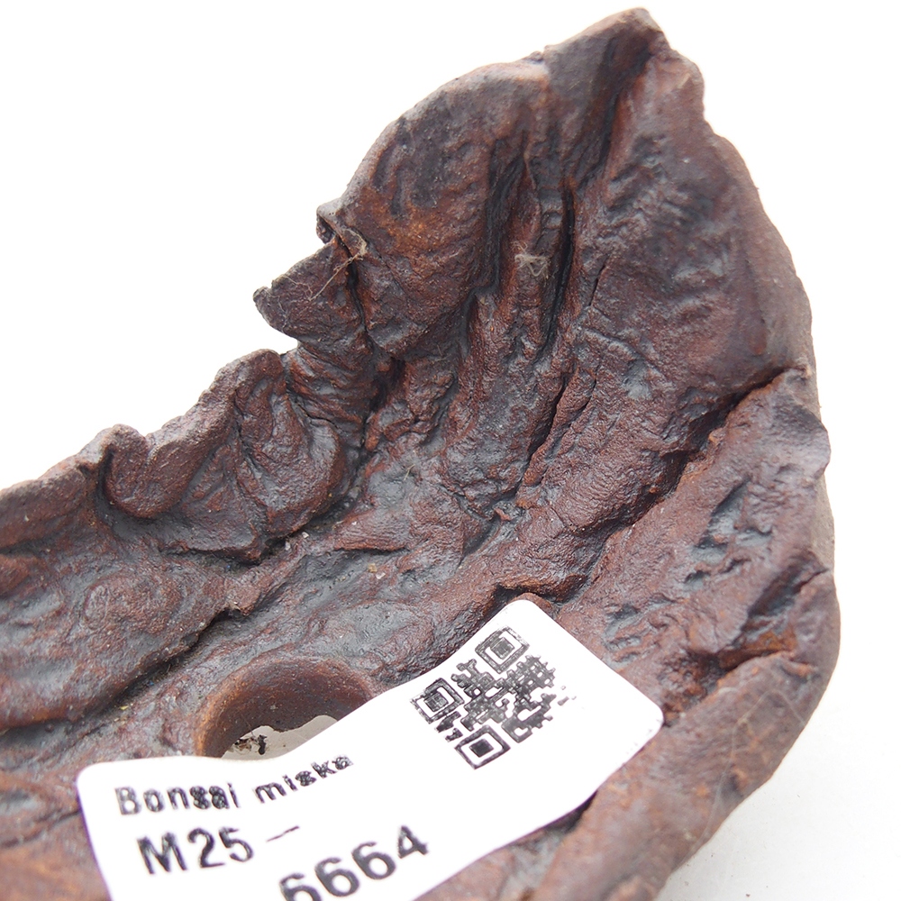 Concha de cerámica 7,5 x 5,5 x 6 cm , color marrón