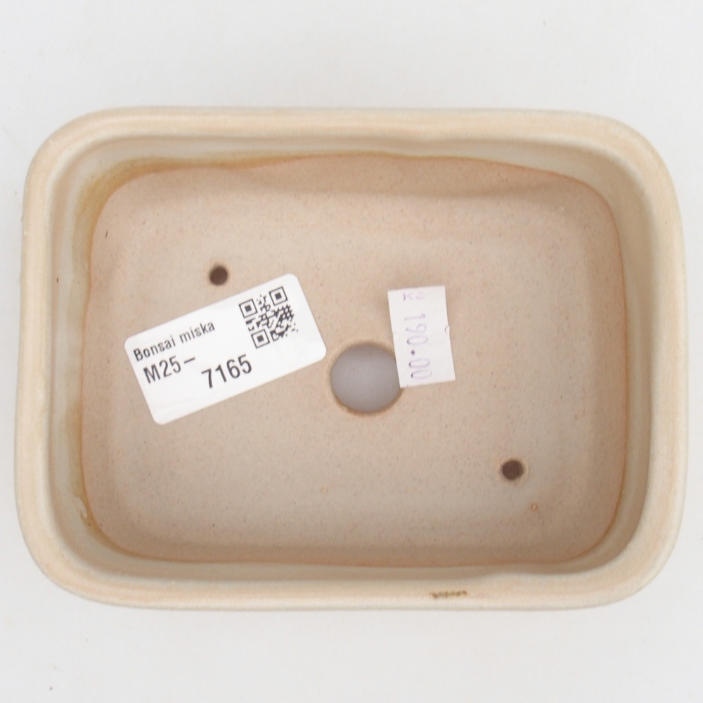 Cuenco bonsái de cerámica 12,5 x 10 x 5 cm, color beige
