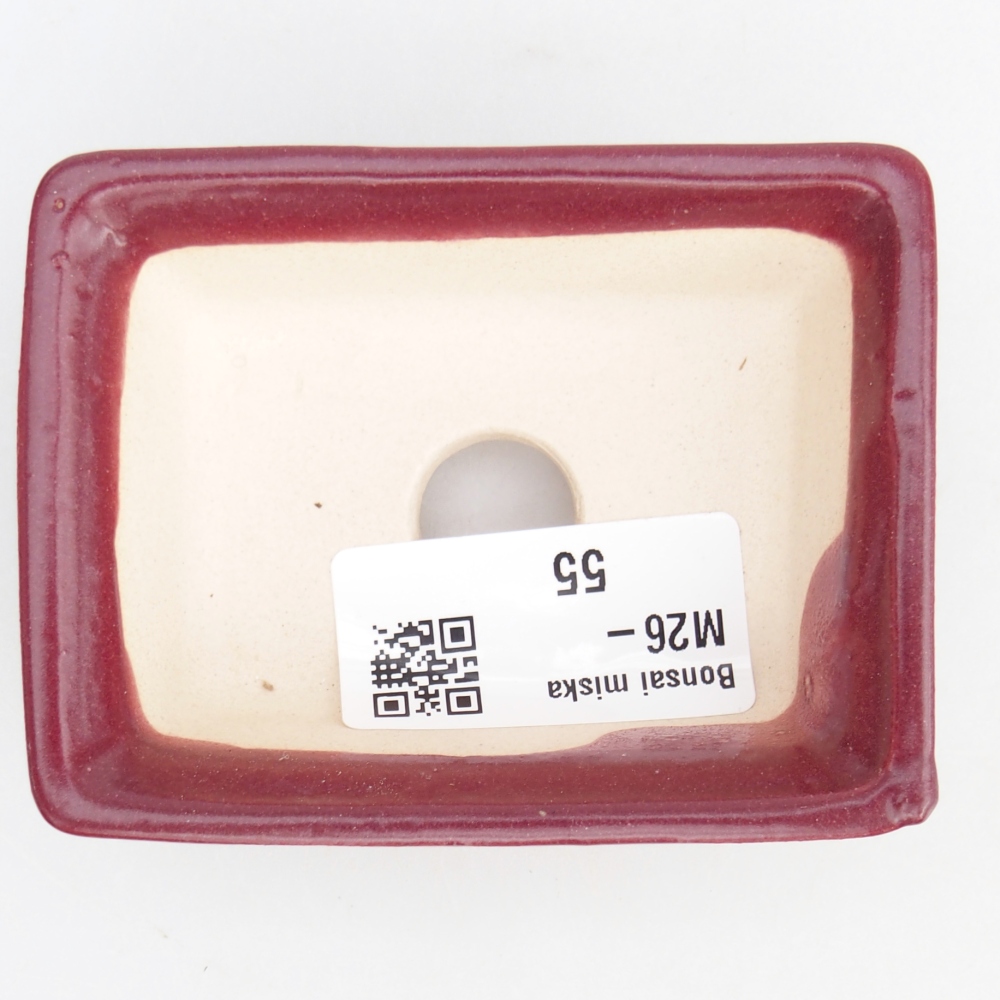 Mini cuenco bonsái 8 x 6 x 2,5 cm, burdeos