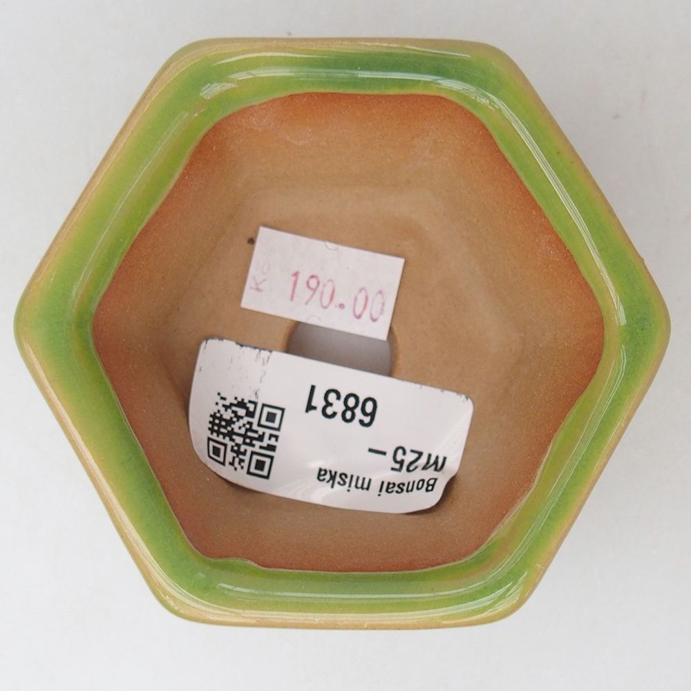 Cuenco bonsái de cerámica 7,5 x 7 x 4 cm, verde