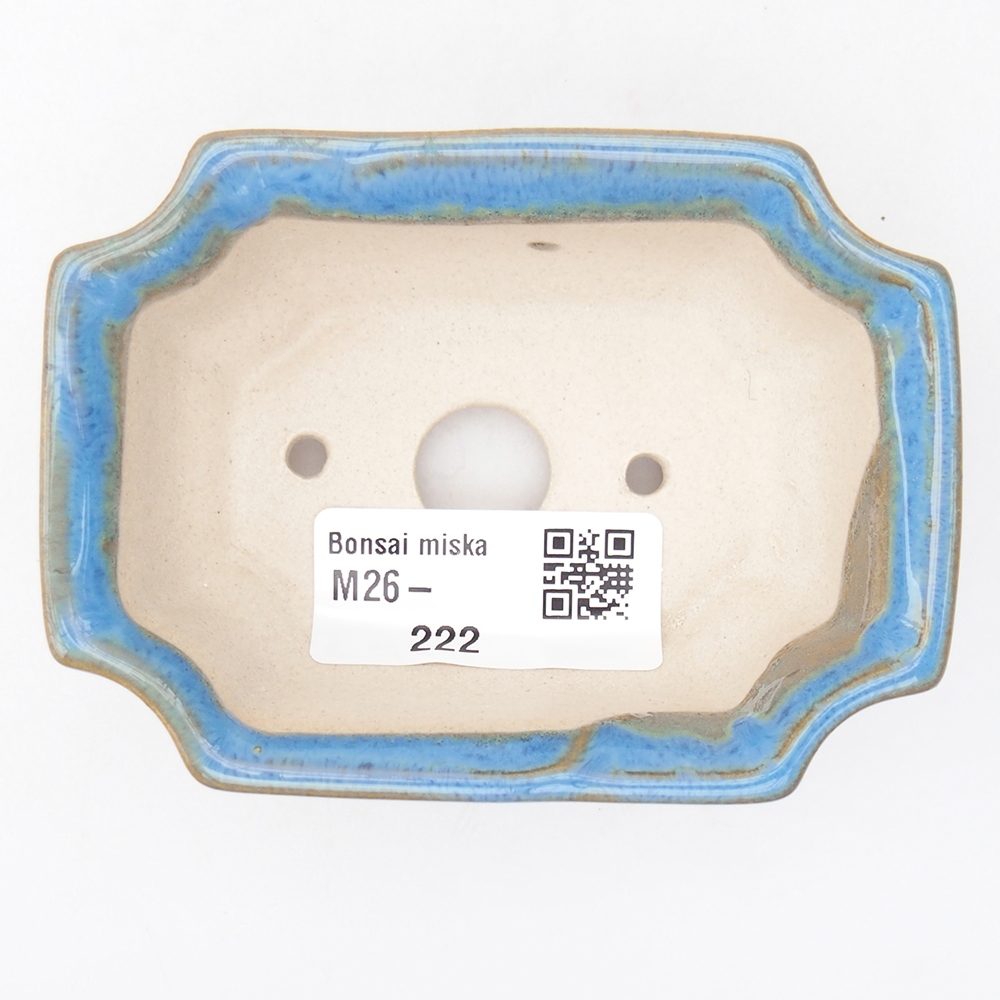 Cuenco mini bonsái 9 x 6,5 x 3,5 cm, color azul