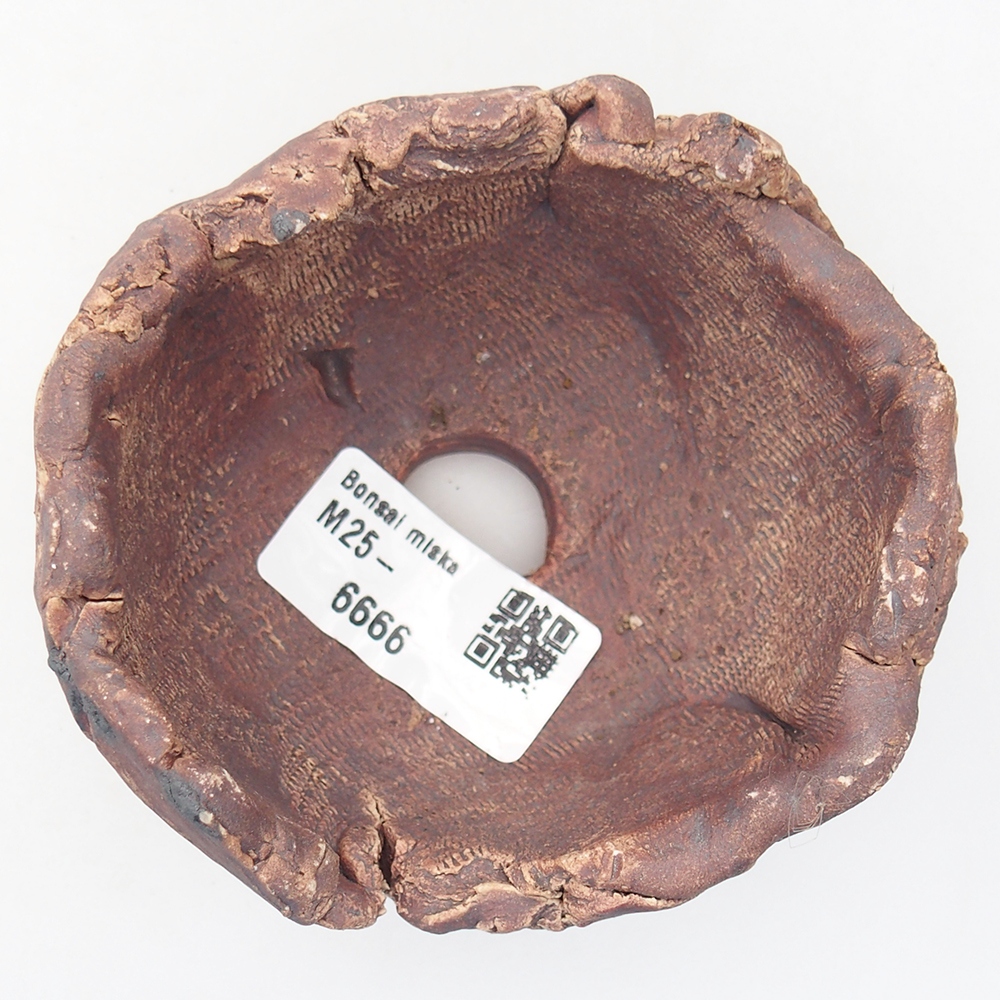 Concha de cerámica 9 x 8,5 x 6 cm , color marrón