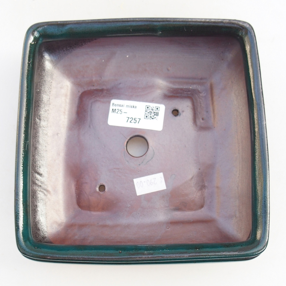 Cuenco bonsái de cerámica 15,5 x 15,5 x 6 cm, verde