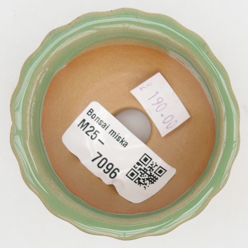 Cuenco bonsái de cerámica 7 x 8,5 x 3,5 cm, verde