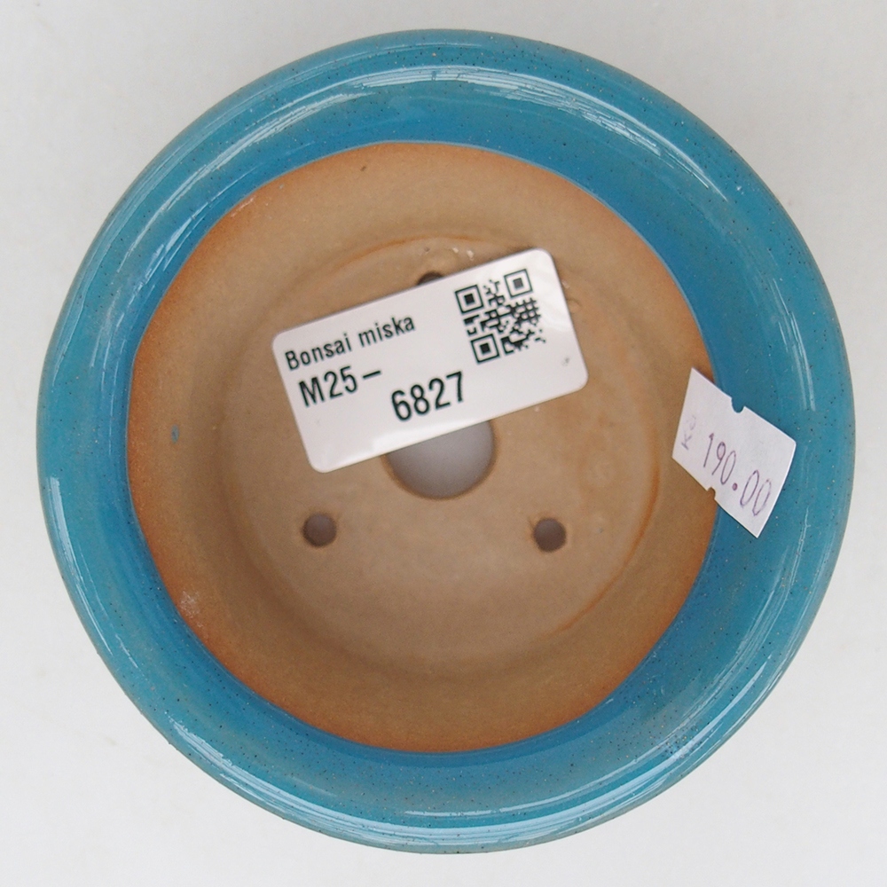 Cuenco bonsái de cerámica 9 x 9 x 5 cm, color azul