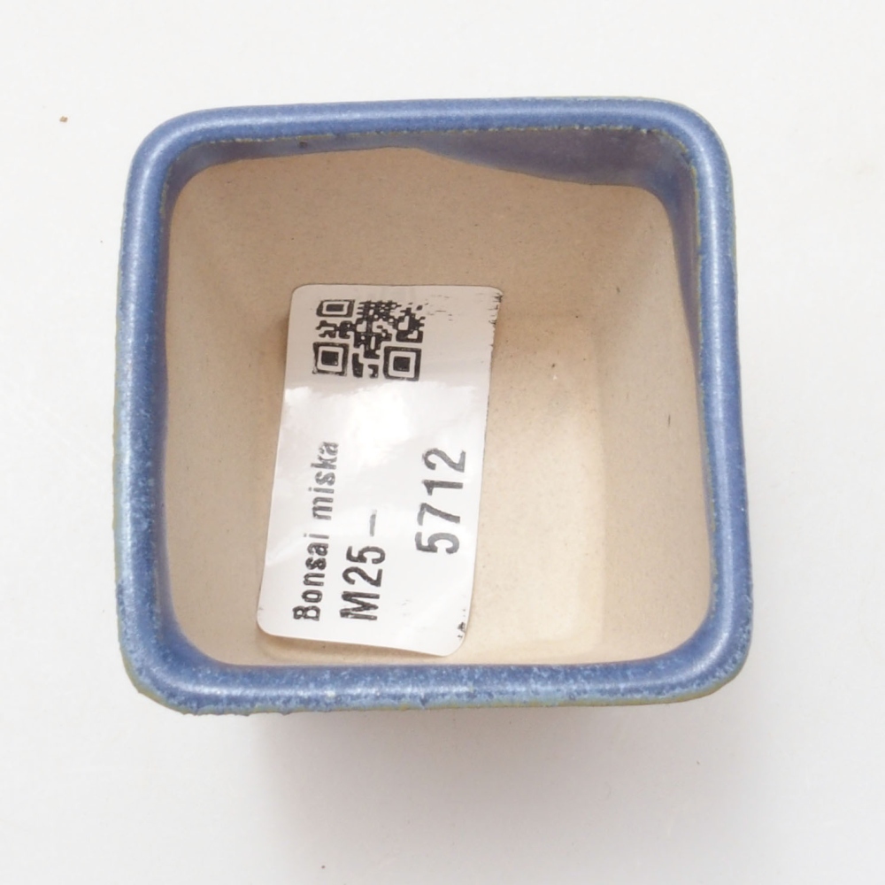 Cuenco mini bonsái 4,5 x 4,5 x 4,5 cm, color azul