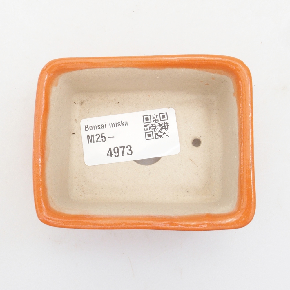 Mini cuenco bonsái 8 x 6 x 3,5 cm, naranja