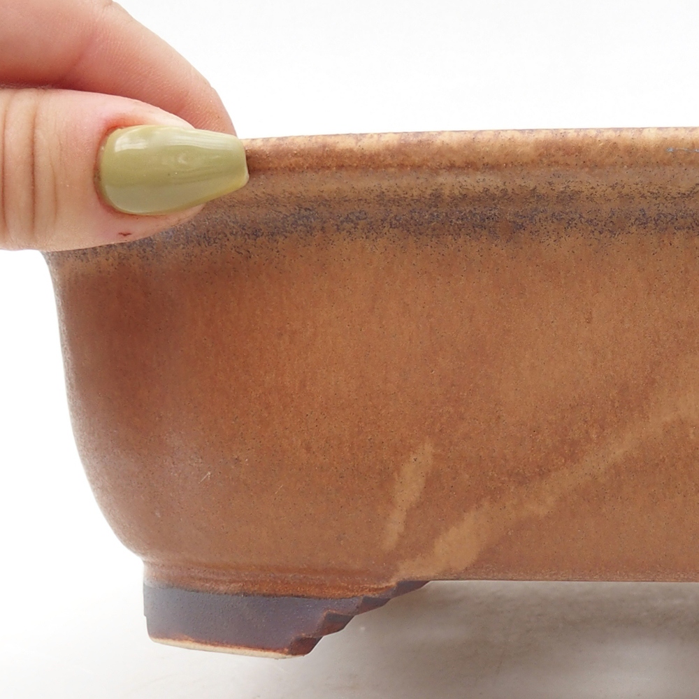 Cuenco bonsái de cerámica 20 x 16,5 x 6,5 cm, rosa