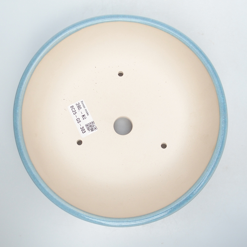 Cuenco 21 x 21 x 8,5 cm azul