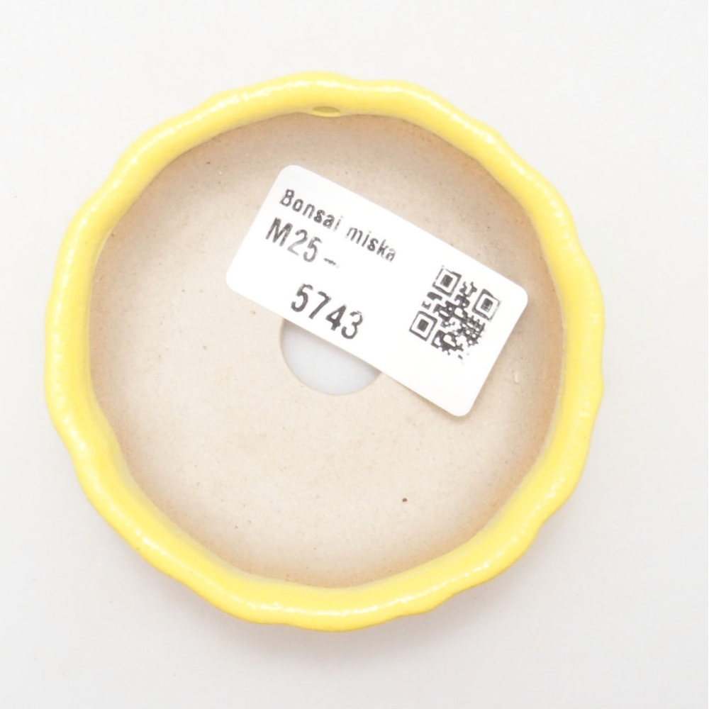 Cuenco bonsái de cerámica 7 x 7 x 2 cm, amarillo