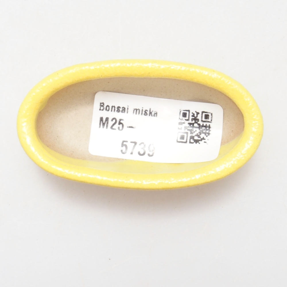 Cuenco bonsái de cerámica 6,5 x 3,5 x 2 cm, amarillo