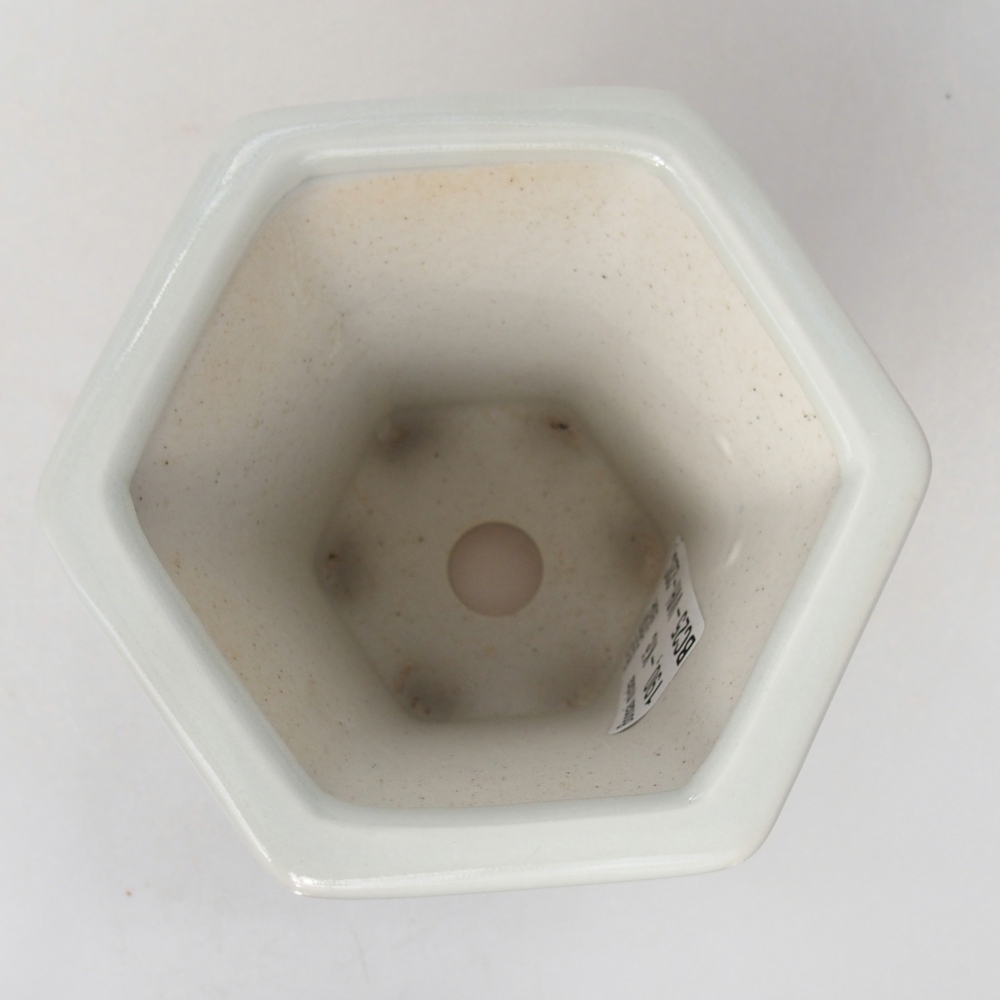 Cuenco bonsái de cerámica 10 x 9 x 9 cm, color blanco