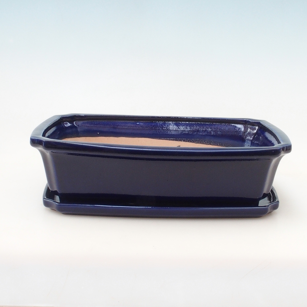 Cuenco bonsái + platillo H07 - 30 x 20,5 x 8 cm - azul