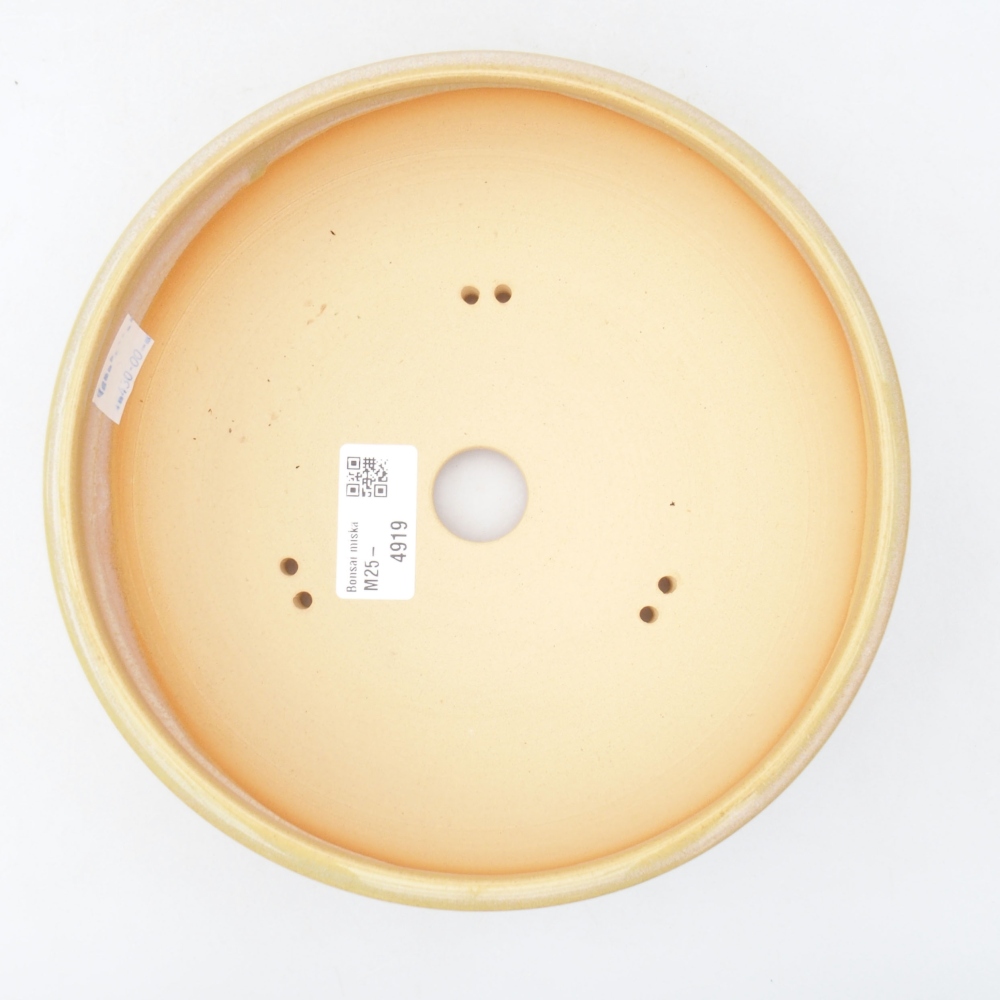 Cuenco bonsái de cerámica 19,5 x 19,5 x 6 cm, color beige