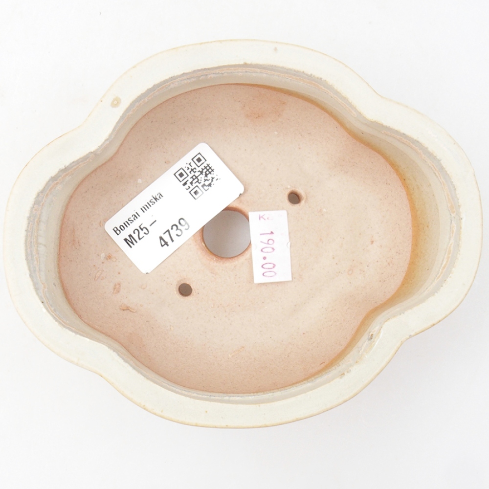 Cuenco bonsái de cerámica 12,5 x 10 x 4,5 cm, color beige