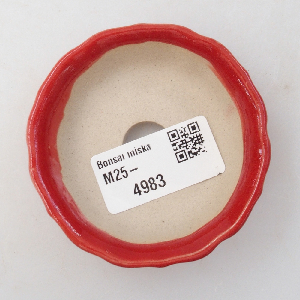 Mini cuenco bonsái 7 x 7 x 2 cm, color rojo