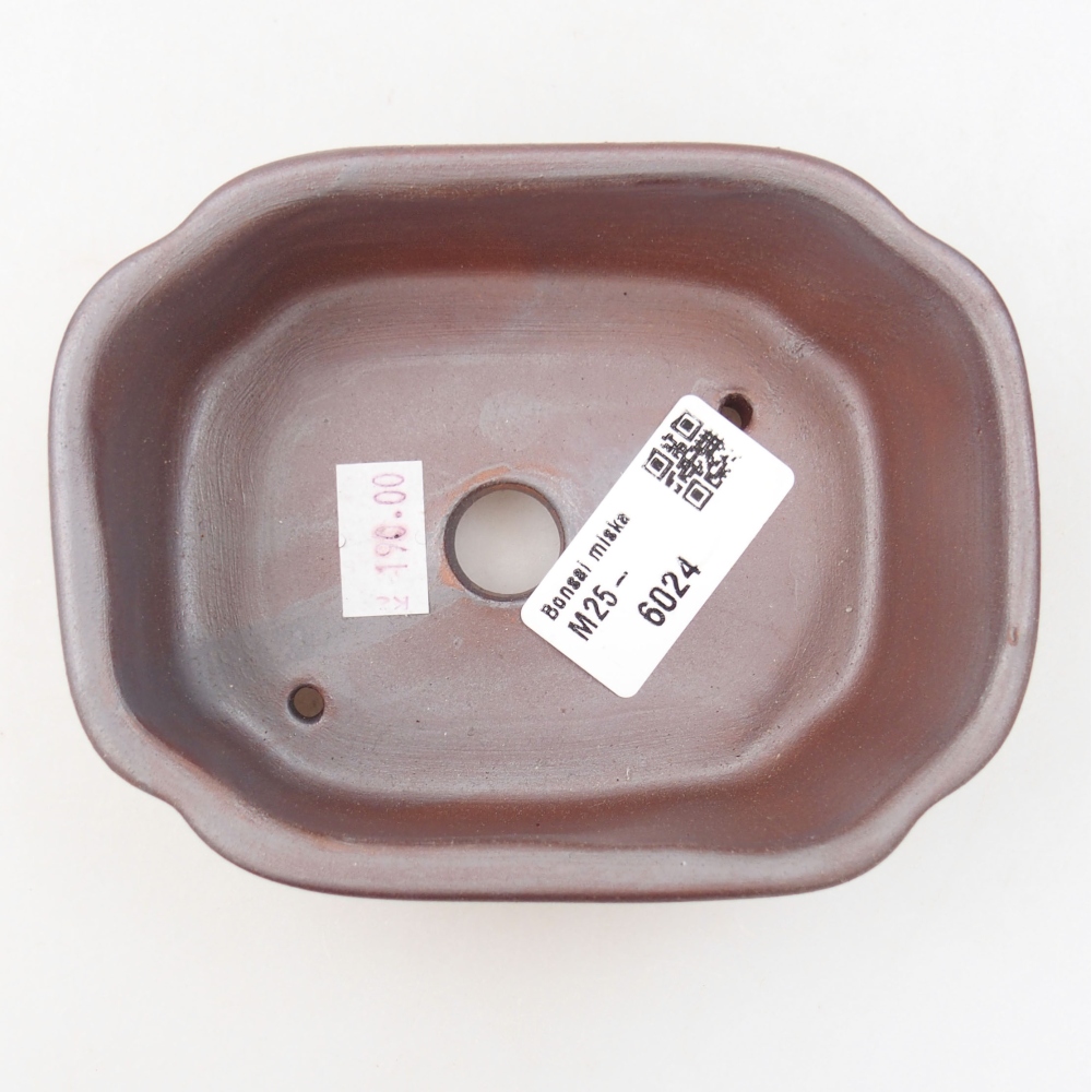 Cuenco bonsái de cerámica 22 x 17 x 5 cm, verde