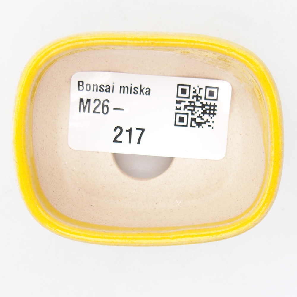 Cuenco mini bonsái 6 x 5 x 2,5 cm, amarillo