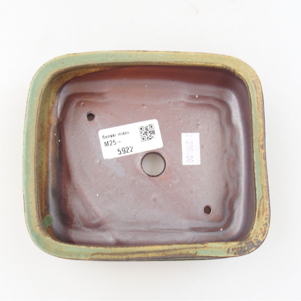 Cuenco bonsái de cerámica 22 x 17 x 5 cm, verde