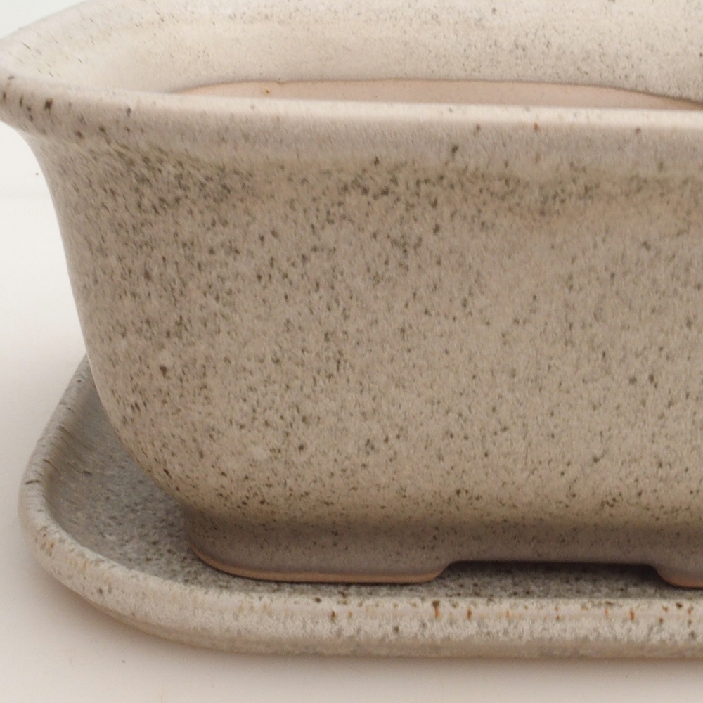 Cuenco bonsái + platillo H36 - 17 x 15 x 7,5 cm - beige