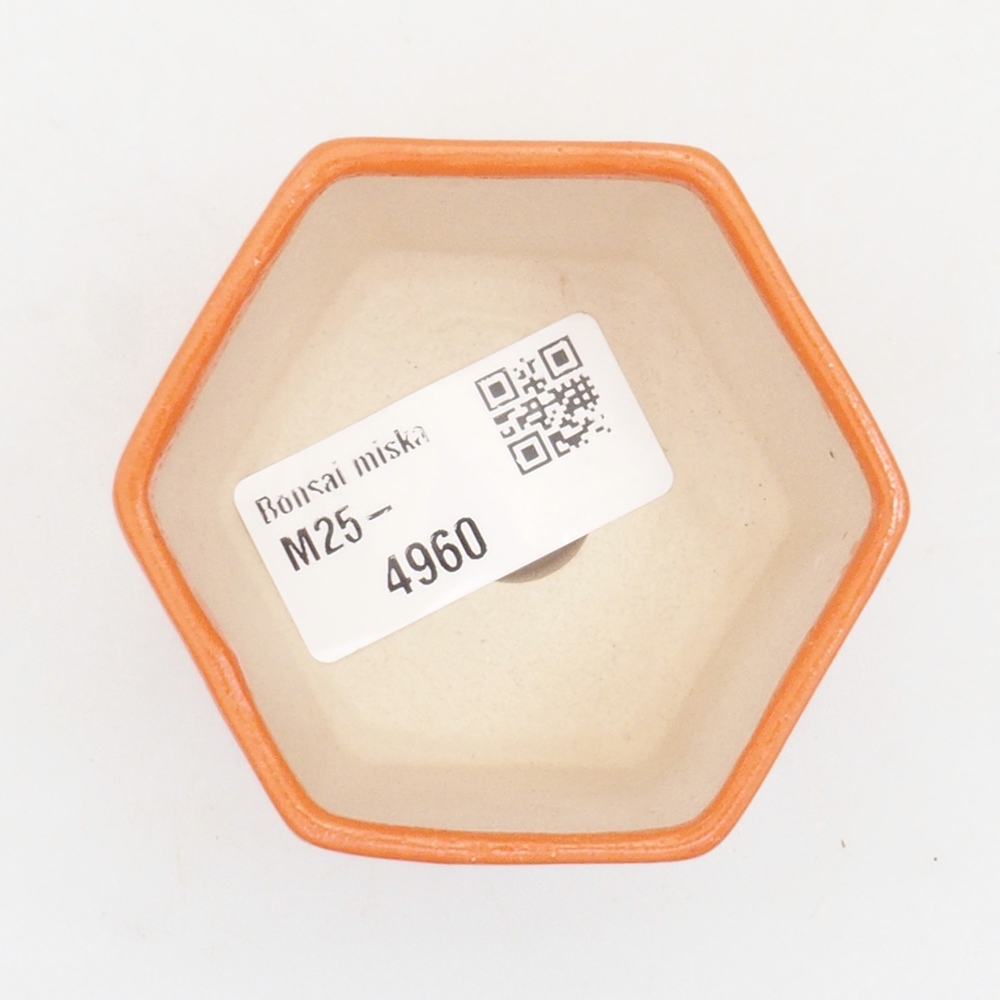 Cuenco mini bonsái 6,5 x 6 x 4,5 cm, naranja