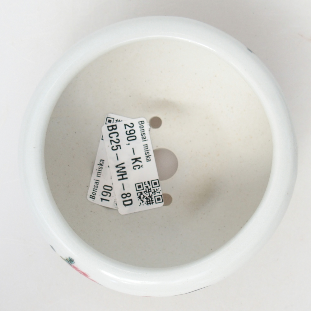 Cuenco bonsái de cerámica 10 x 10 x 5 cm, color blanco