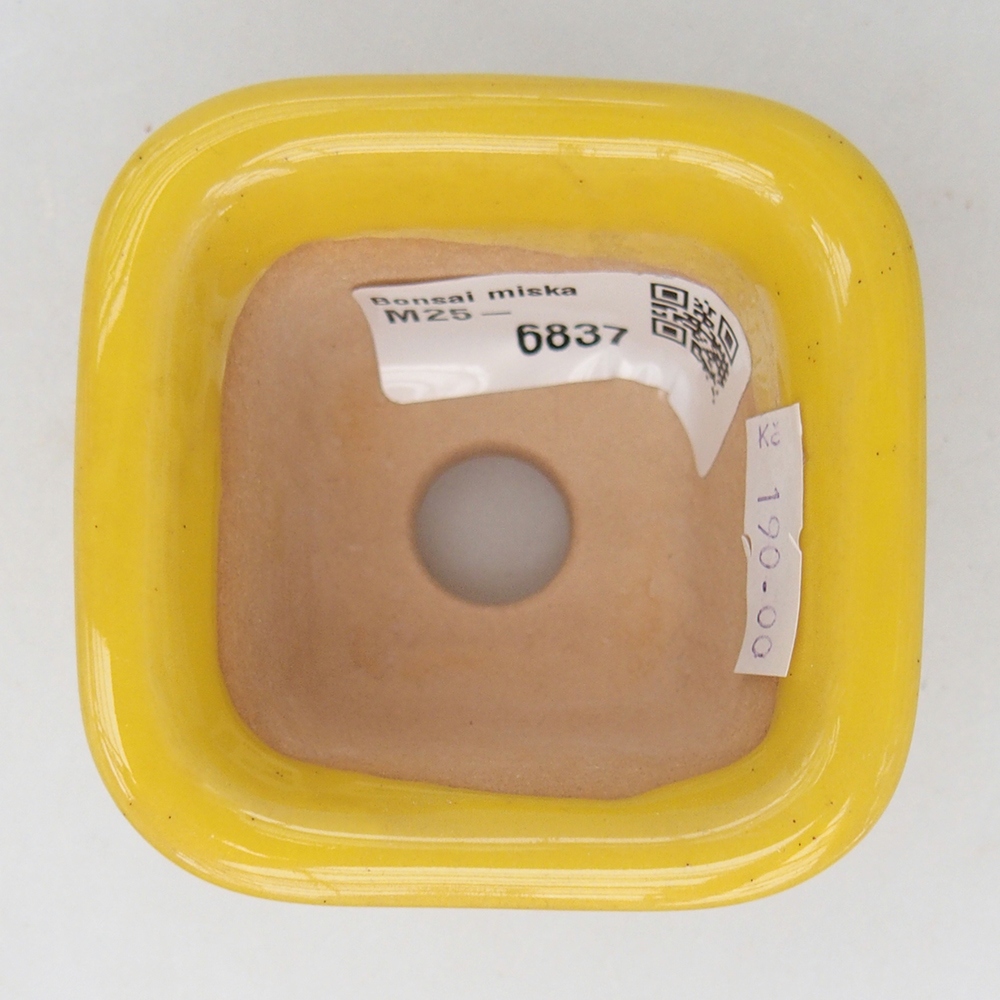 Cuenco bonsái de cerámica 6,5 x 6,5 x 5 cm, amarillo