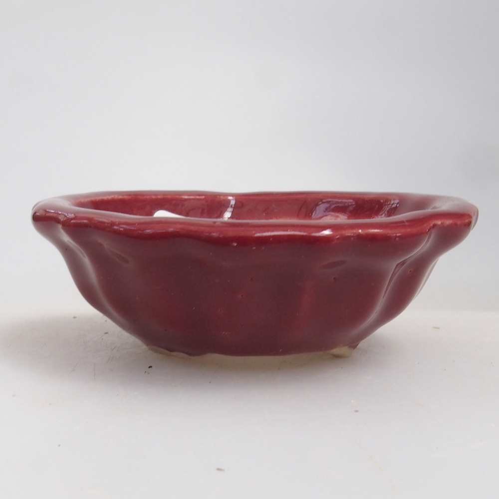 Mini cuenco bonsái 5 x 5 x 1,5 cm, color burdeos