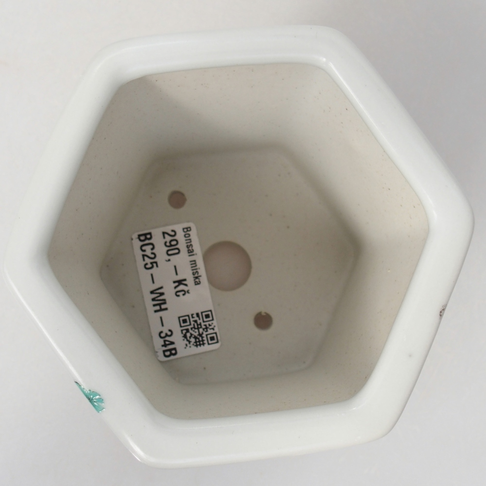 Cuenco bonsái de cerámica 10,5 x 9,5 x 9 cm, color blanco