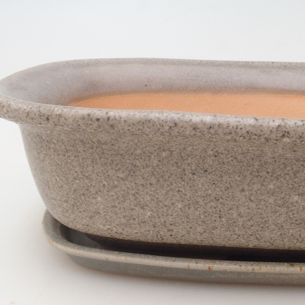 Cuenco bonsái + platillo H09 - 30 x 23 x 7,5 cm - beige