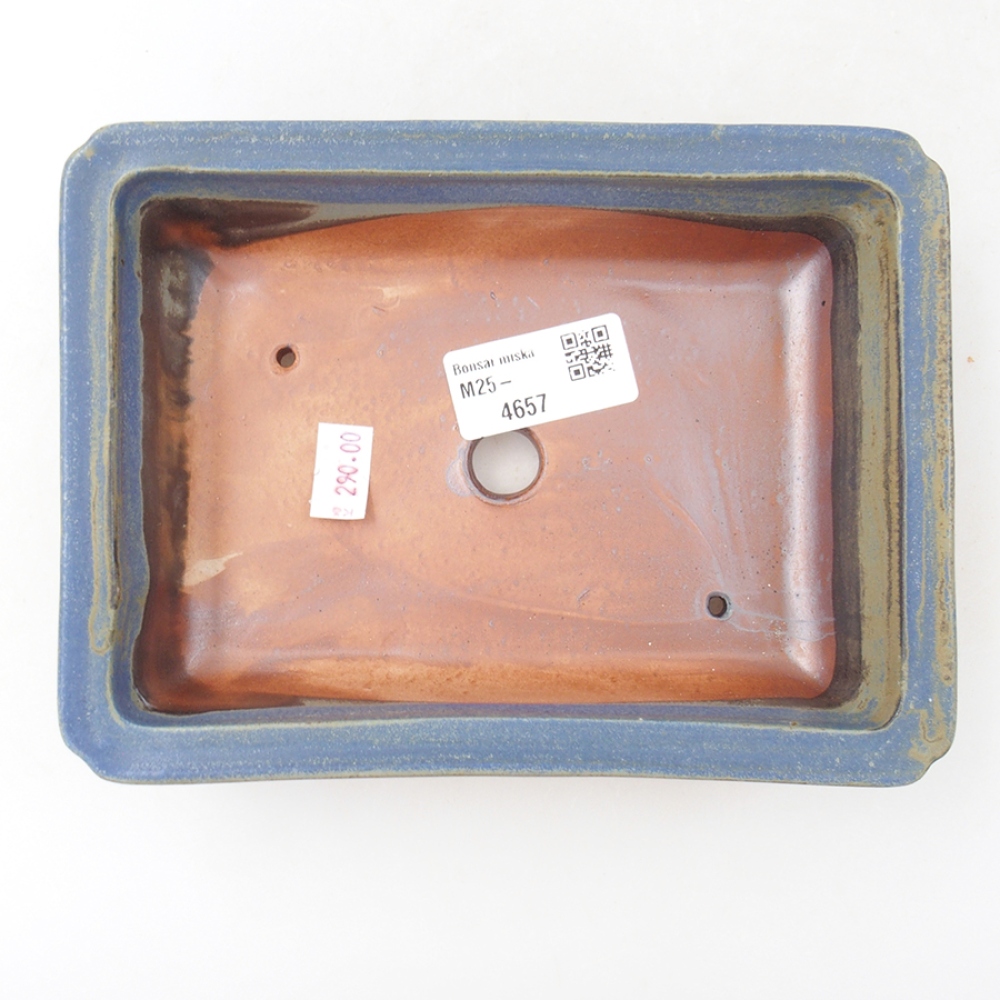 Cuenco bonsái de cerámica 17,5 x 13 x 4 cm, color azul