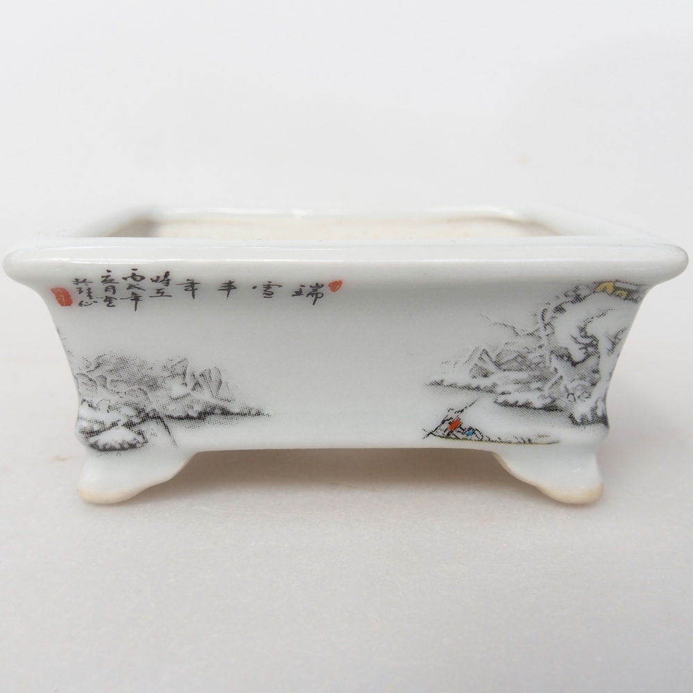 Mini cuenco bonsái 8 x 6 x 3 cm, blanco