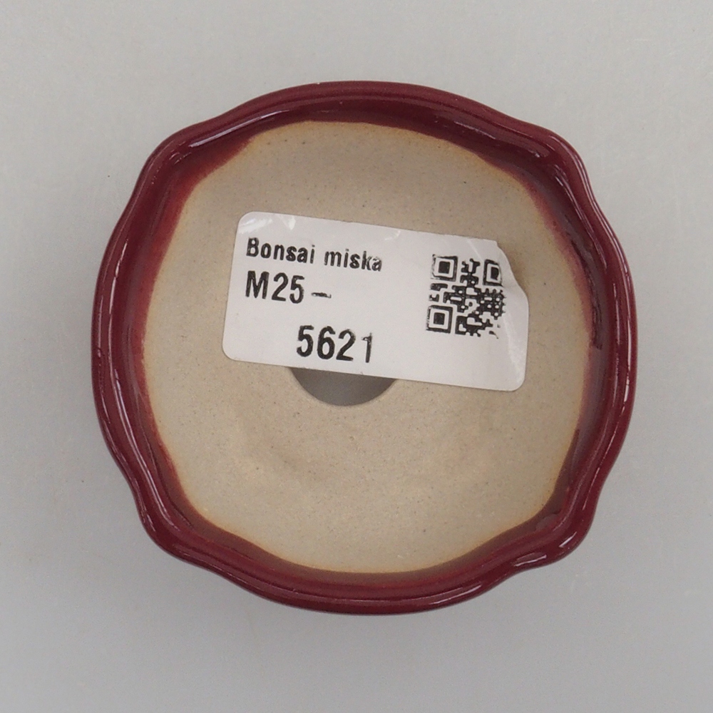 Cuenco mini bonsái 6 x 6 x 2,5 cm, burdeos
