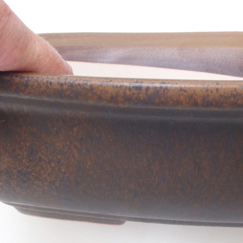 Cuenco bonsái H10 - 37 x 28 x 9 cm - marrón