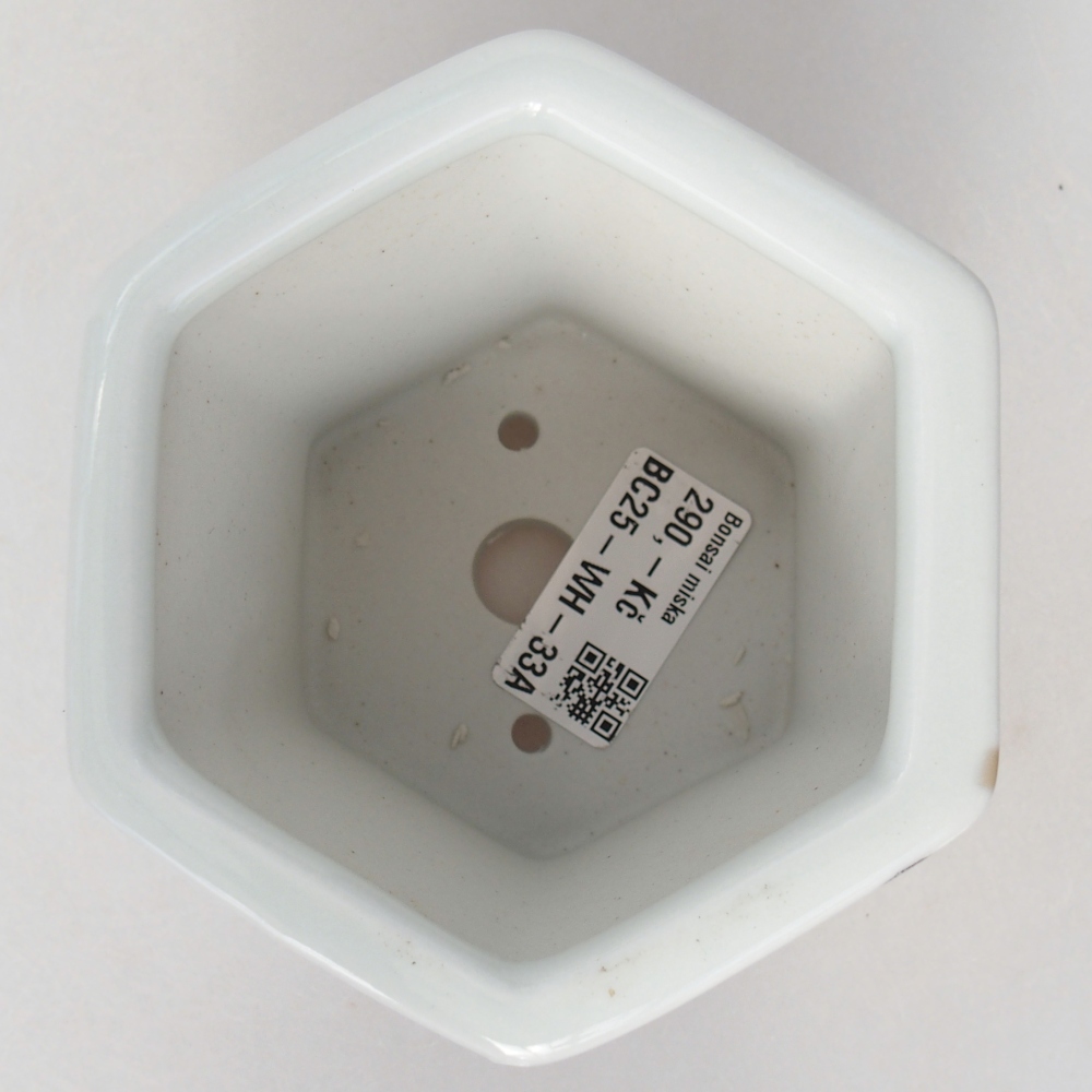 Cuenco bonsái de cerámica 10,5 x 9,5 x 9 cm, color blanco