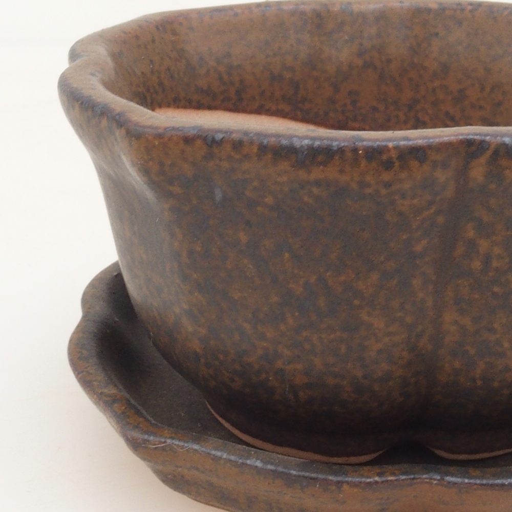 Bonsai cuenco + platillo H95 - marrón