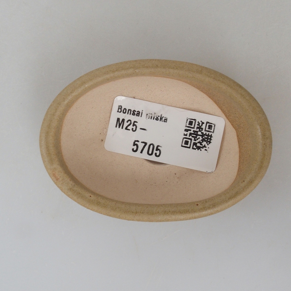 Mini cuenco bonsái 7 x 5 x 2 cm, marrón
