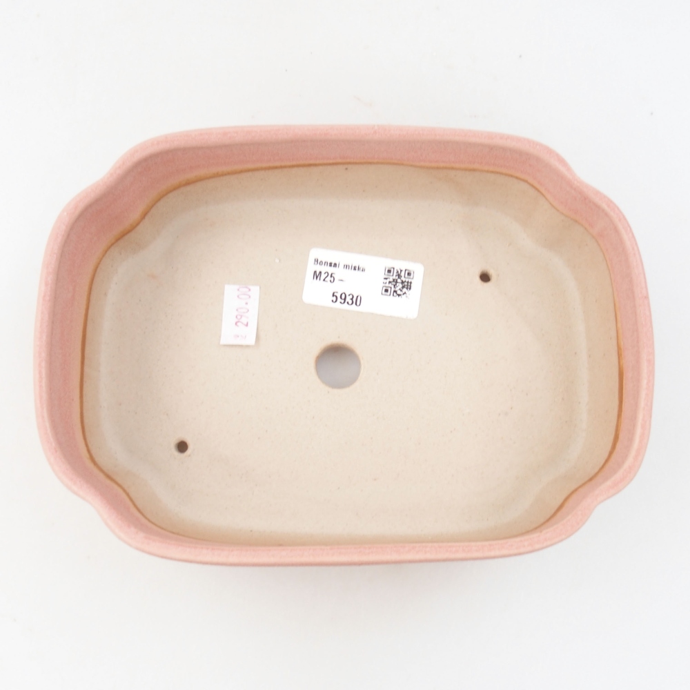 Cuenco bonsái de cerámica 22 x 17 x 5 cm, verde