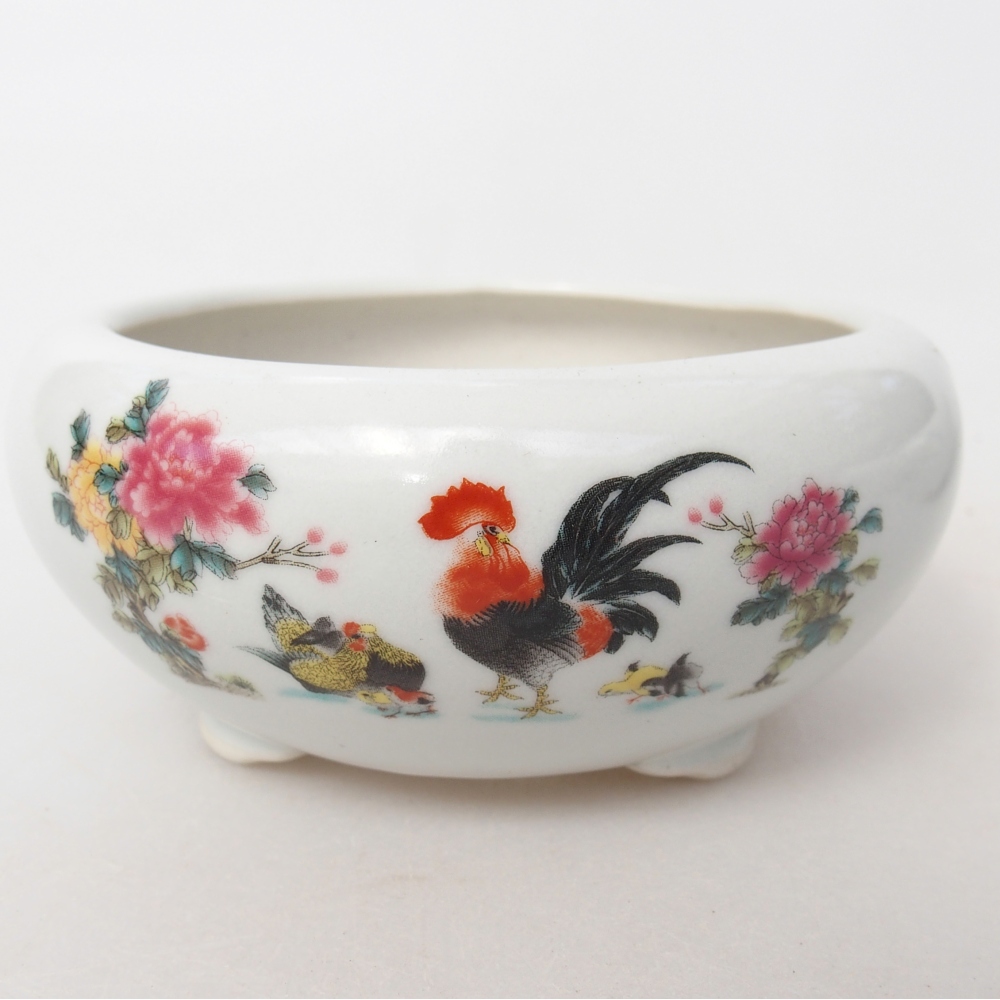 Cuenco bonsái de cerámica 10 x 10 x 5 cm, color blanco