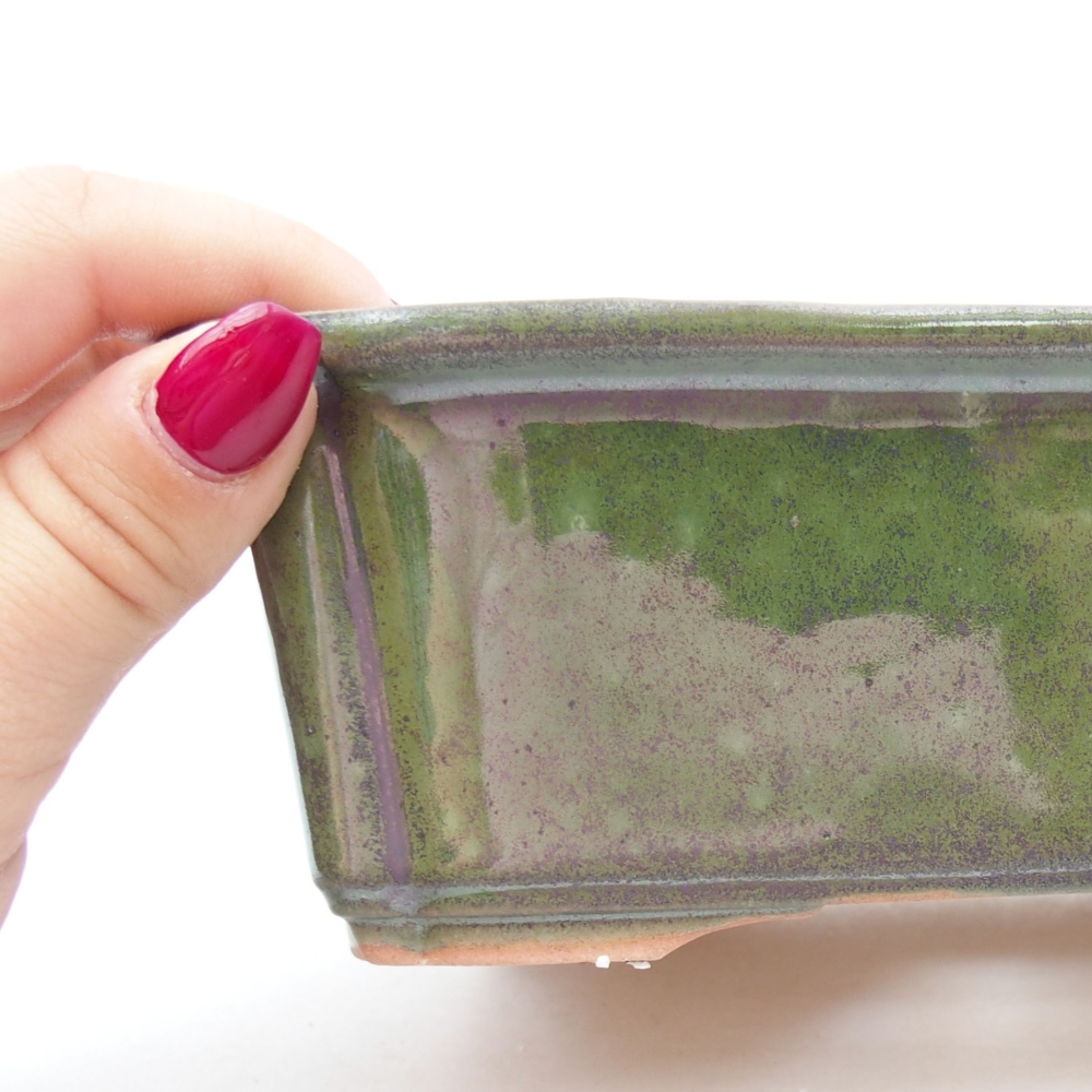 Cuenco bonsái de cerámica 17,5 x 12,5 x 6 cm, verde