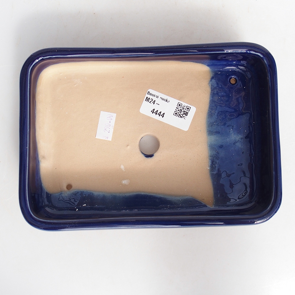 Cuenco bonsái de cerámica 18 x 13 x 4 cm, color azul