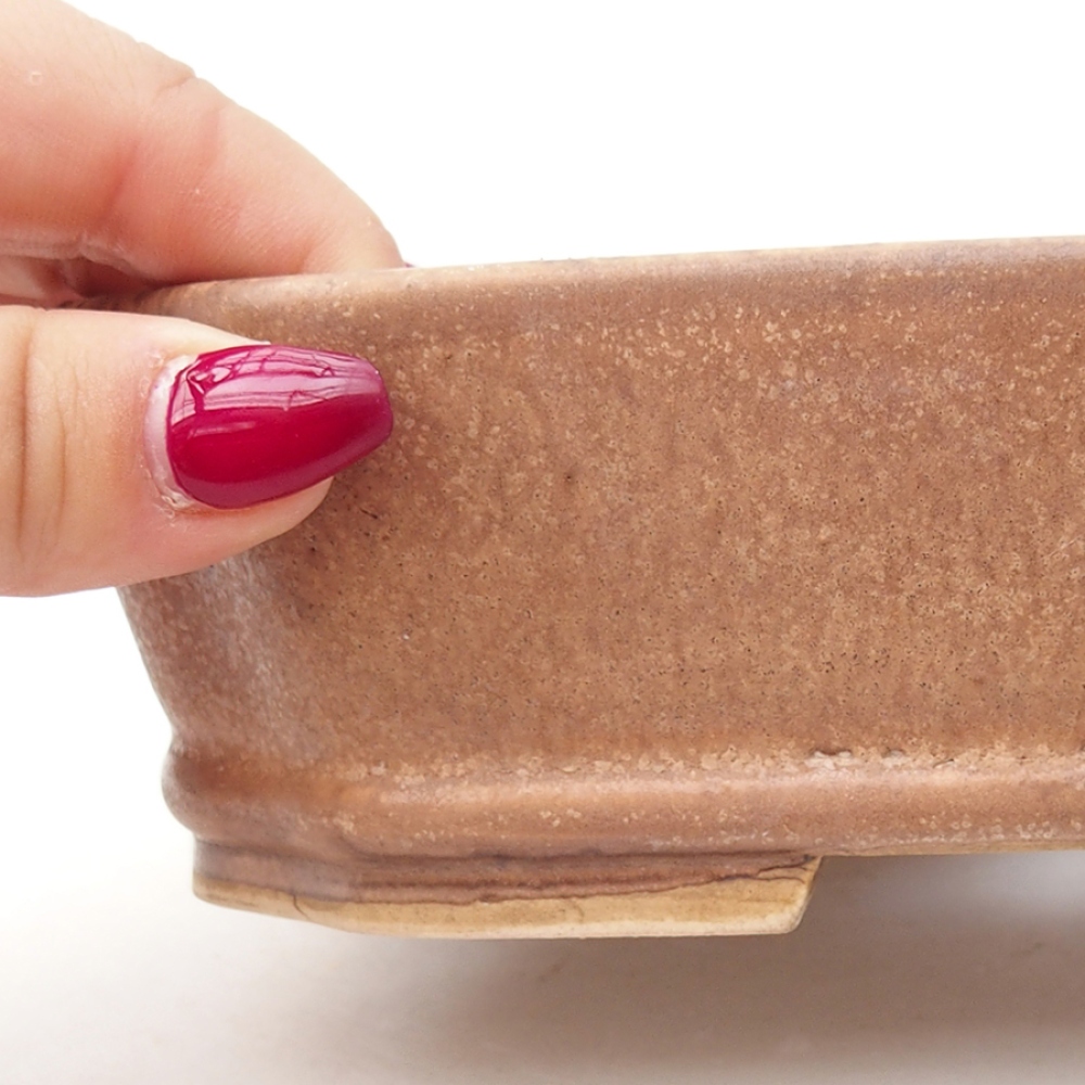 Cuenco bonsái de cerámica 17,5 x 14 x 4,5 cm, color diferente