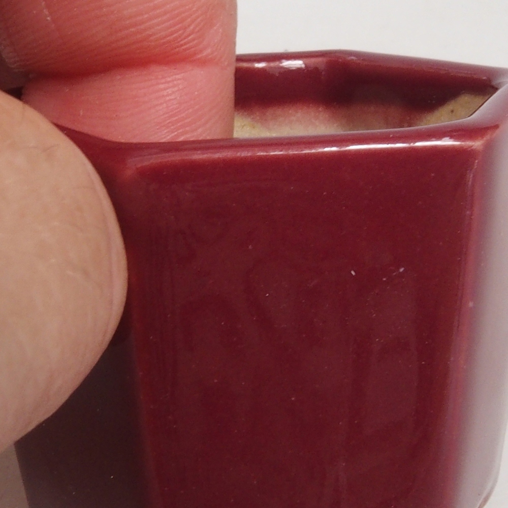 Cuenco mini bonsái 4 x 4 x 3,5 cm, burdeos