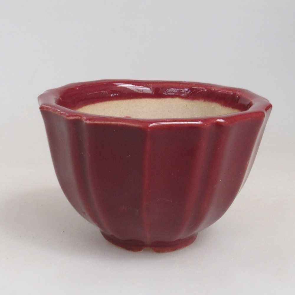 Mini cuenco bonsái 5 x 5 x 3 cm, burdeos